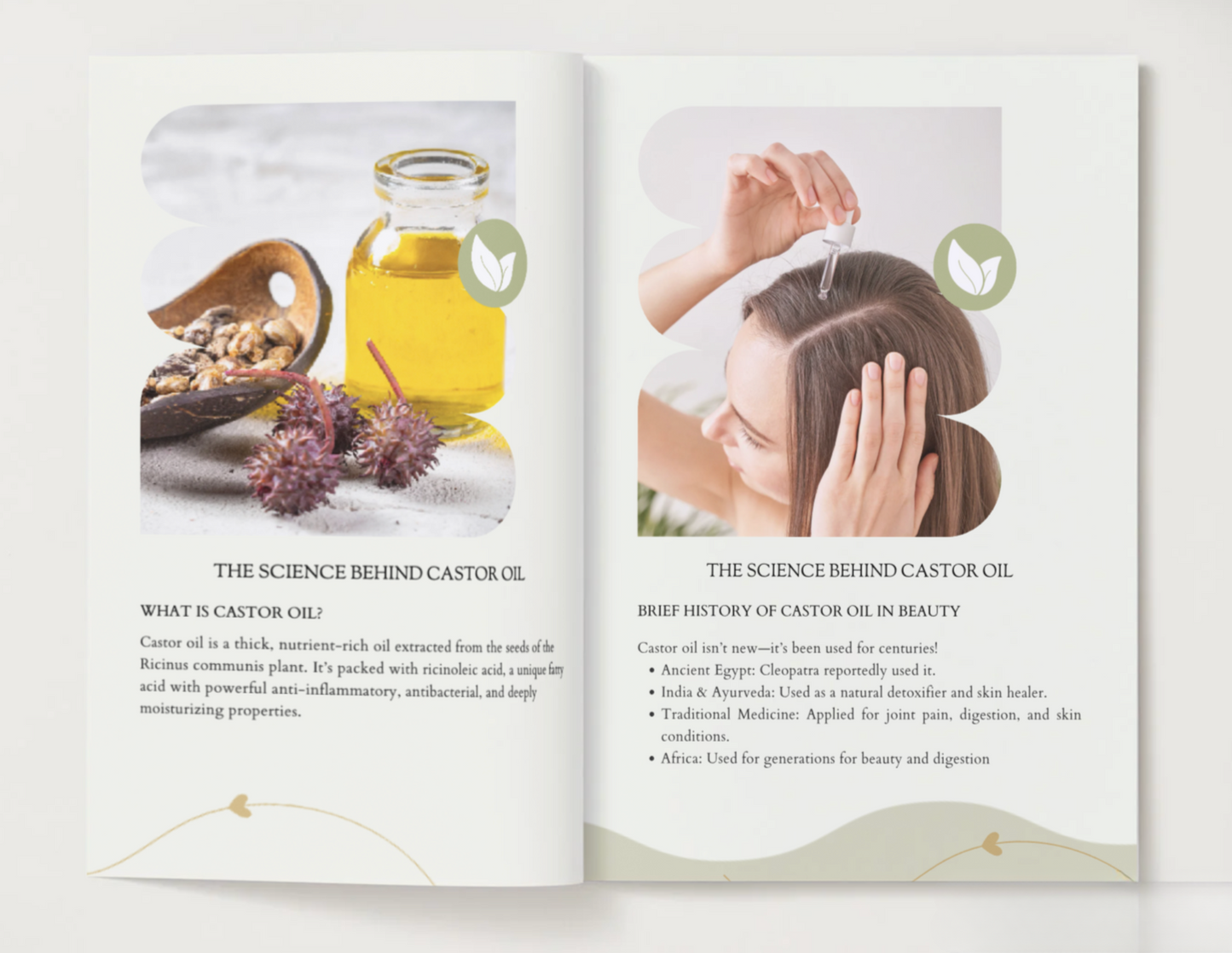 The Castor Oil Bible - eBook